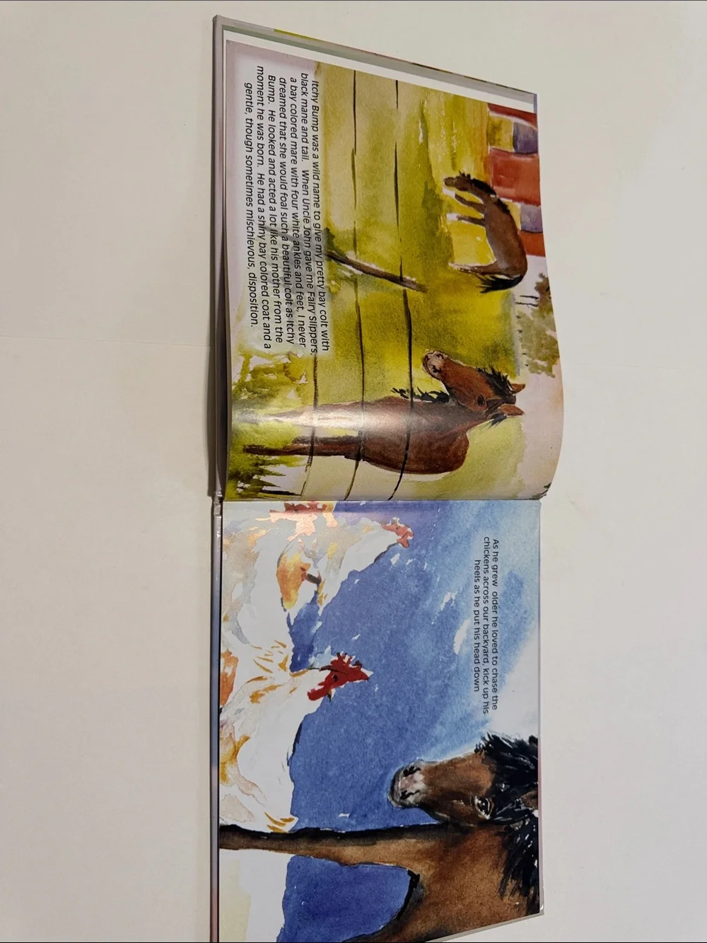 Itchy Bump, a Kinda Wild Thing Hardcover Book by Dr Bob Johnston & Lori Meyer